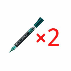 ぺんてる Pentel デュアルメタリックブラッシュ グリーン+メタリックブルー 2個セット XGFH-DD