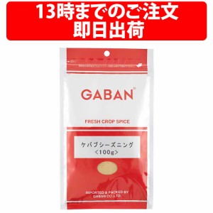 GABAN ギャバン ケバブ シーズニング 100g 1袋 香辛料 ケバブシーズニング スパイス カレー ハーブ カレー粉 ドライハーブ シシケバブ 牛