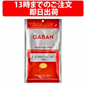 ギャバン ジャークチキンシーズニング 100g 1袋 GABAN スパイス オールスパイス 香辛料 シーズニング 粉 パウダー ミックススパイス 粉末