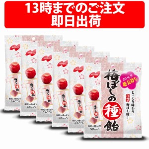 ノーベル 梅ぼしの種飴 30g 6袋 セット 梅干し 種 ノーベル製菓 種飴 あめ キャンディ タブレット お菓子 梅ぼしの種 間食 休憩 うまい 