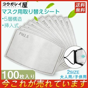 送料無料 お得 マスク用取り替えシート 5層構造 100枚入 大人用 子供用 挿入式 活性炭入不織布 フィルターシート 交換マスクフィルター P