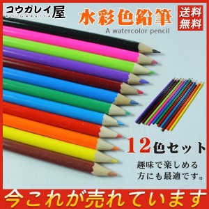水彩色鉛筆　12色セット 文房具 色鉛筆 油性色鉛筆 絵色鉛筆 油性色鉛筆 子供お絵かき 大人の塗り絵 高品質な顔料を使用しているので発色