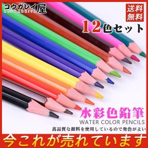 水彩色鉛筆　12色セット 文房具 色鉛筆 油性色鉛筆 絵色鉛筆 油性色鉛筆 子供お絵かき 大人の塗り絵 高品質な顔料を使用しているので発色
