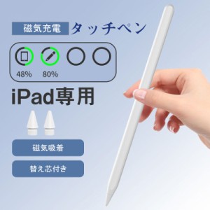 ワイヤレス充電 磁気吸着 タッチペン iPad ペンシル 極細 スタイラスペン iPad 第10世代 ペンシル 第9世代 Pro 