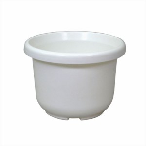 アップルウェアー 輪鉢Ｆ型10号 WH 4905980035010 植木鉢 プランター ベーシック 丸型