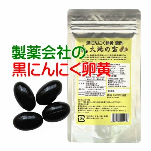 黒 にんにく卵黄 黒酢 大地の宝 120粒 黒酢にんにく 黒にんにく 黒酢もろみ 青森県産 熟成 にんにく卵黄 スッポン サプリ 人気 ランキン