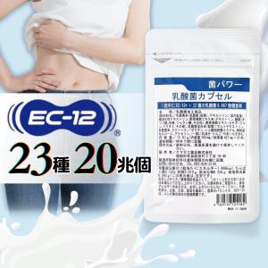 専用ページ　　乳酸菌革命　20個セット 25種の純国産野菜乳酸菌×酵素 60パック : セイムスオンライン