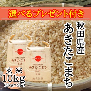 米 お米 玄米 10kg (5kg×2袋) 秋田県産 農家直送 あきたこまち 令和5年産 送料無料 / 選べるプレゼント付き akg10