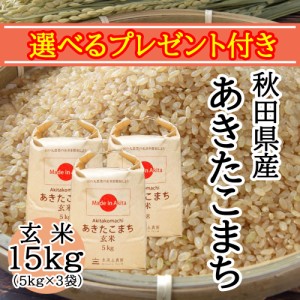 米 お米 玄米 15kg (5kg×3袋) 秋田県産 農家直送 あきたこまち 令和5年産 送料無料 / 選べるプレゼント付き akg15