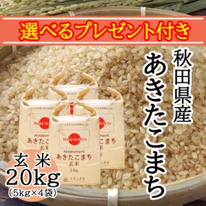 米 お米 玄米 20kg (5kg×4袋) 秋田県産 農家直送 あきたこまち 令和5年産 送料無料 / 選べるプレゼント付き akg20