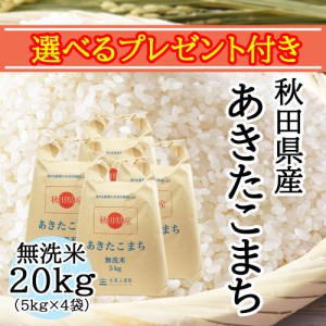 米 お米 無洗米 20kg (5kg×4袋) 秋田県産 農家直送 あきたこまち 令和5年産 送料無料 / 選べるプレゼント付き akm20