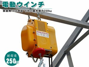 電動ウインチ 小型ホイスト クレーン 50Hz 最大能力250kg 家庭用100V 強力小型 出張先や現場ですぐに使える移動式 吊り下げ式