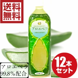 アロエベラジュース ゲル入り1L 12本セット 沖縄県産 アロエベラ 葉肉使用 アロエジュース アロエドリンク 国産 アロエ アロエベラエキス