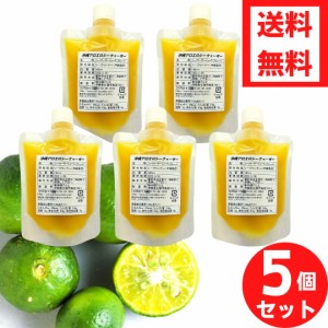 送料無料 沖縄県産シークヮーサー パック160ml×5個セット シークヮーサージュース 青切り シークワーサー シークアーサー 100% 原液 小