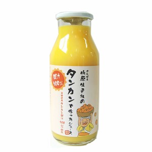 沖縄県産たんかんジュース180ml　たんかん果汁100％　ストレート　無添加果汁　山原生まれのタンカンで作ったさぁ180ml