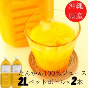 沖縄県産たんかんジュース2000ml 2本セット たんかん果汁100％ ストレート 無添加果汁 沖縄みかん オレンジジュース 濃厚オレンジ 濃厚み