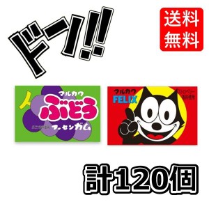 【三太郎の日限定クーポン付！】フィリックスガム +ぶどうガム 各1箱(55+あたり5)計120個  マルカワフーセンガム 駄菓子 (お得な２箱セッ