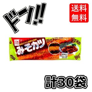 名古屋みそカツ 1枚×30袋 すぐる 味噌カツ 味噌かつ 駄菓子　ビックカツ　駄菓子　おつまみ　おやつ　お菓子　菓子　プレゼント　子供　