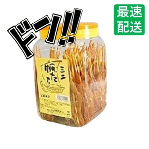 ミニ帆たら １００本入り 一十食品 ゴマの風味 イカ ?みごたえ 駄菓子 珍味 父の日 宅飲み 家飲み おつまみ お菓子 子供会 景品 お祭り 