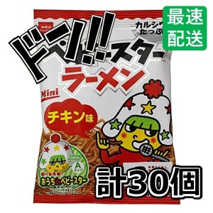 おやつカンパニー ベビースター ラーメンミニ(チキン) 21g×30袋入 　駄菓子 スナック 箱買い まとめ買い　味付け　いろいろパック　いろ