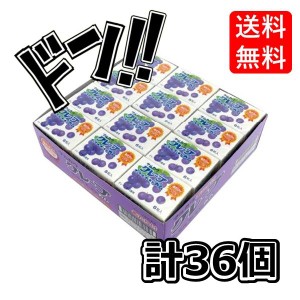 丸川製菓 グレープマーブルガム 6粒×33個　マルカワ　膨らむ　美味しい　人気　業務用　箱買い　大人買い　イベント　縁日　お祭り　お