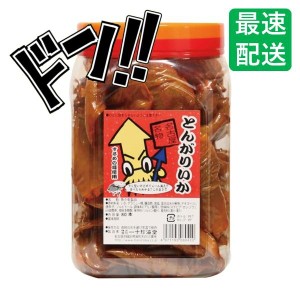 とんがりいか 80本 一十珍海堂 いか おやつ 珍味 おつまみ 駄菓子 お祭り 定番 お徳用 するめ 魚介乾製品 するめの耳 エンペラー 宴会 い