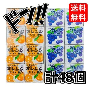 【三太郎の日限定クーポン付！】マーブルフーセンガム 4粒×48箱 オレンジ味 グレープ味 (各24箱)  ( ボトルガム の２倍量 ) マルカワ　