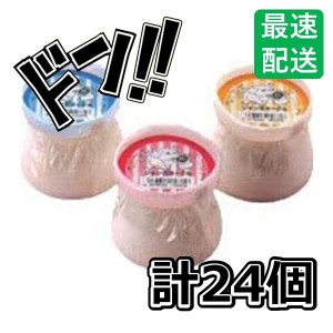 ジャンボヨーグル 24個入 サンヨー製菓 モロッコヨーグルの特大版 懐かしのヨーグルト菓子 子供会 景品 お祭り くじ引き 縁日 販促 配布 