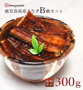 うなぎ 300gセット(2〜3尾) 国産 訳あり B級品 丑の日 ギフト 内祝 鹿児島県産 国産B級品 お取り寄せ 蒲焼き 丑の日 鹿児島鰻 送料無料 