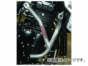 2輪 ゴールドメダル スラッシュガード サブフレーム付き トライアンフ SPEED TRIPLE 2005年〜2006年 選べる5カラー