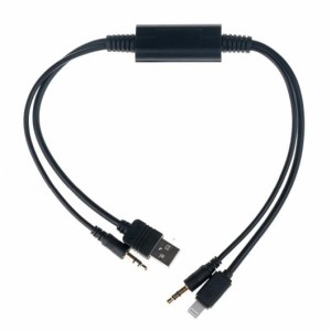 AL 車用ケーブル カー オート 3.5mm USB AUX オーディオ アダプタ ケーブル オスインタフェース 44cm BMW 専 AUX USB ケーブル iPod iPho