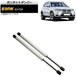 ボンネットダンパー BMW X3 F25 20dX/20iX/28iX/35iX 2011年〜2019年 シルバー カーボンファイバー製 入数：1セット(2個) AP-4T861-SI