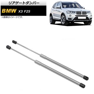 リアゲートダンパー BMW X3 F25 2011年〜2017年 シルバー ステンレス製 入数：1セット(2個) AP-4T862