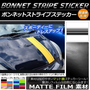 AP ボンネットストライプステッカー マット調 普通車汎用 色グループ1 AP-CFMT1269 入数：1セット(5枚)