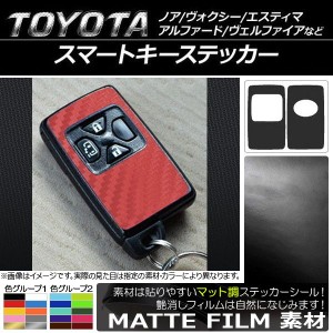 スマートキーステッカー マット調 色グループ1 入数：1セット(2枚) AP-CFMT1730