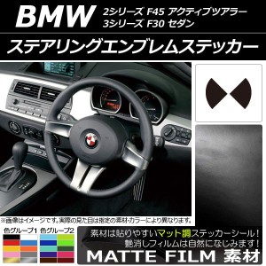 AP ステアリングエンブレムステッカー マット調 色グループ1 AP-CFMT2699