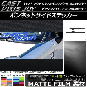 ボンネットサイドステッカー キャスト アクティバ/スタイル/スポーツ / ピクシスジョイ C/F/S マット調 色グループ1 AP-CFMT766 入数：1