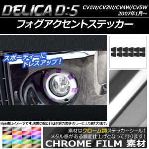 フォグアクセントステッカー クローム調 ミツビシ デリカD：5 CV1W/CV2W/CV4W/CV5W 2007年1月〜 選べる20カラー 入数：1セット(12枚) AP-