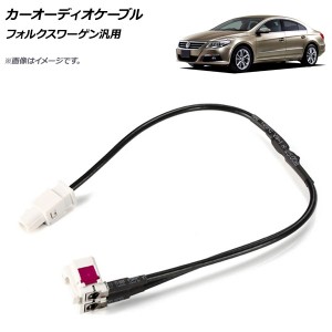 AP カーオーディオケーブル フォルクスワーゲン汎用 AP-EC323