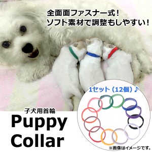 AP パピーカラー 子犬用 首輪 全面面ファスナー式 バックルがないので安全！ AP-TH351 入数：1セット(12個)