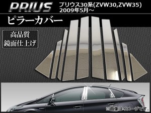 ピラーカバー トヨタ プリウス 30系(ZVW30,ZVW35) サイドバイザー無し車用 前期/後期 2009年05月〜 AP-TNPR-002 入数：1セット(10個)