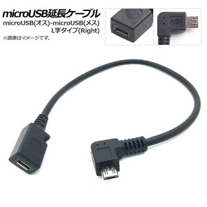 AP microUSB延長ケーブル microUSB(オス)-microUSB(メス) L字 Right AP-UJ0454