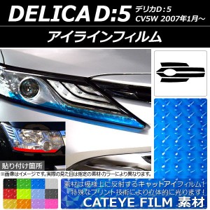 アイラインフィルム キャットアイタイプ ミツビシ デリカD：5 CV5W 2007年01月〜 選べる12カラー 入数：1セット(4枚) AP-YLCT012