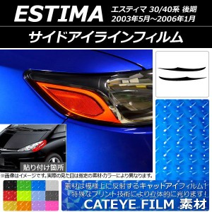 サイドアイラインフィルム トヨタ エスティマ 30系/40系 後期 2003年05月〜2006年01月 キャットアイタイプ 選べる12カラー AP-YLCT131 入