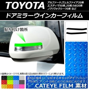 ドアミラーウインカーフィルム キャットアイタイプ 選べる12カラー 入数：1セット(2枚) AP-YLCT196