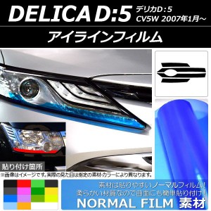 アイラインフィルム ノーマルタイプ ミツビシ デリカD：5 CV5W 2007年01月〜 選べる14カラー 入数：1セット(4枚) AP-YLNM012