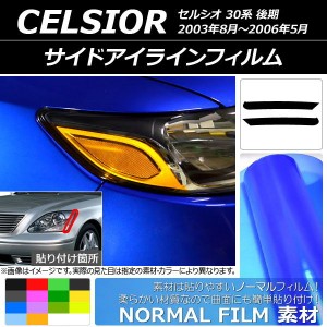 サイドアイラインフィルム トヨタ セルシオ 30系 後期 2003年08月〜2006年05月 ノーマルタイプ 選べる14カラー AP-YLNM146 入数：1セット