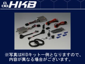 HKB APOLLON/アポロン HID 35W シリーズ コンバージョンキット 6000K H4 HI/LOW 24V