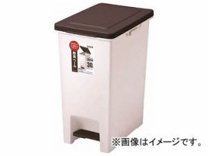 アスベル R防臭エバン・ペダルペール30L 641534(7783957)