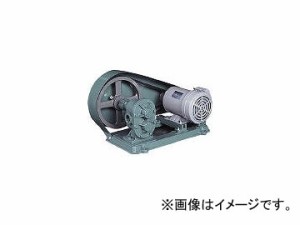 亀嶋鐵工所 ギャポンプ(電動機連結型) KAS03